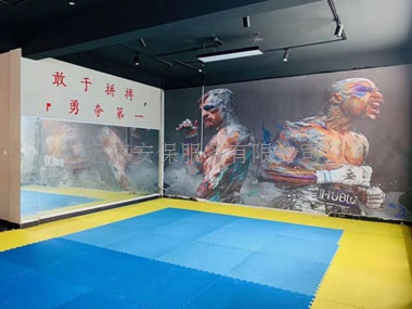 业主雇武汉远德保镖帮忙维权，讨要首付款怕被坑